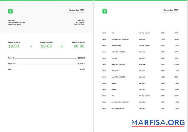 Blank USA Cash App account statement word 2 pages sample